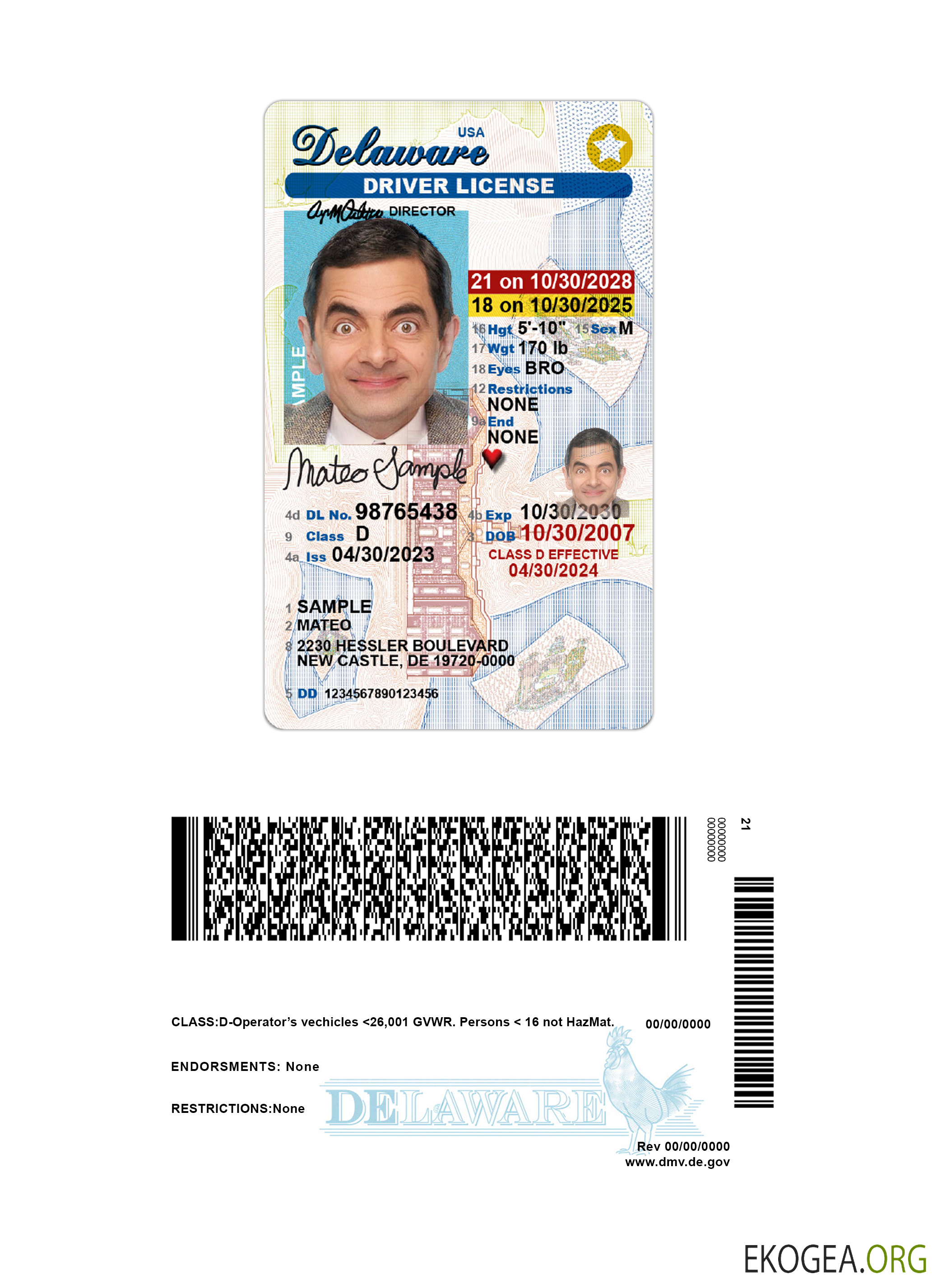 USA Delaware under 21 driving license